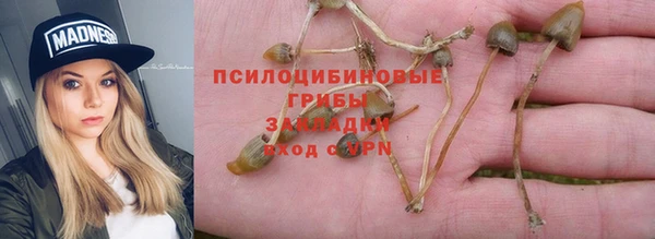 ГАЛЛЮЦИНОГЕННЫЕ ГРИБЫ Бугульма