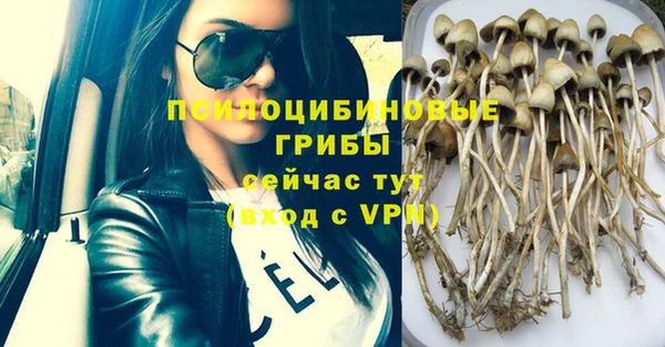 ГАЛЛЮЦИНОГЕННЫЕ ГРИБЫ Бугульма