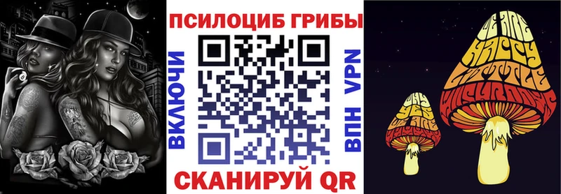 Галлюциногенные грибы Magic Shrooms  Будённовск 